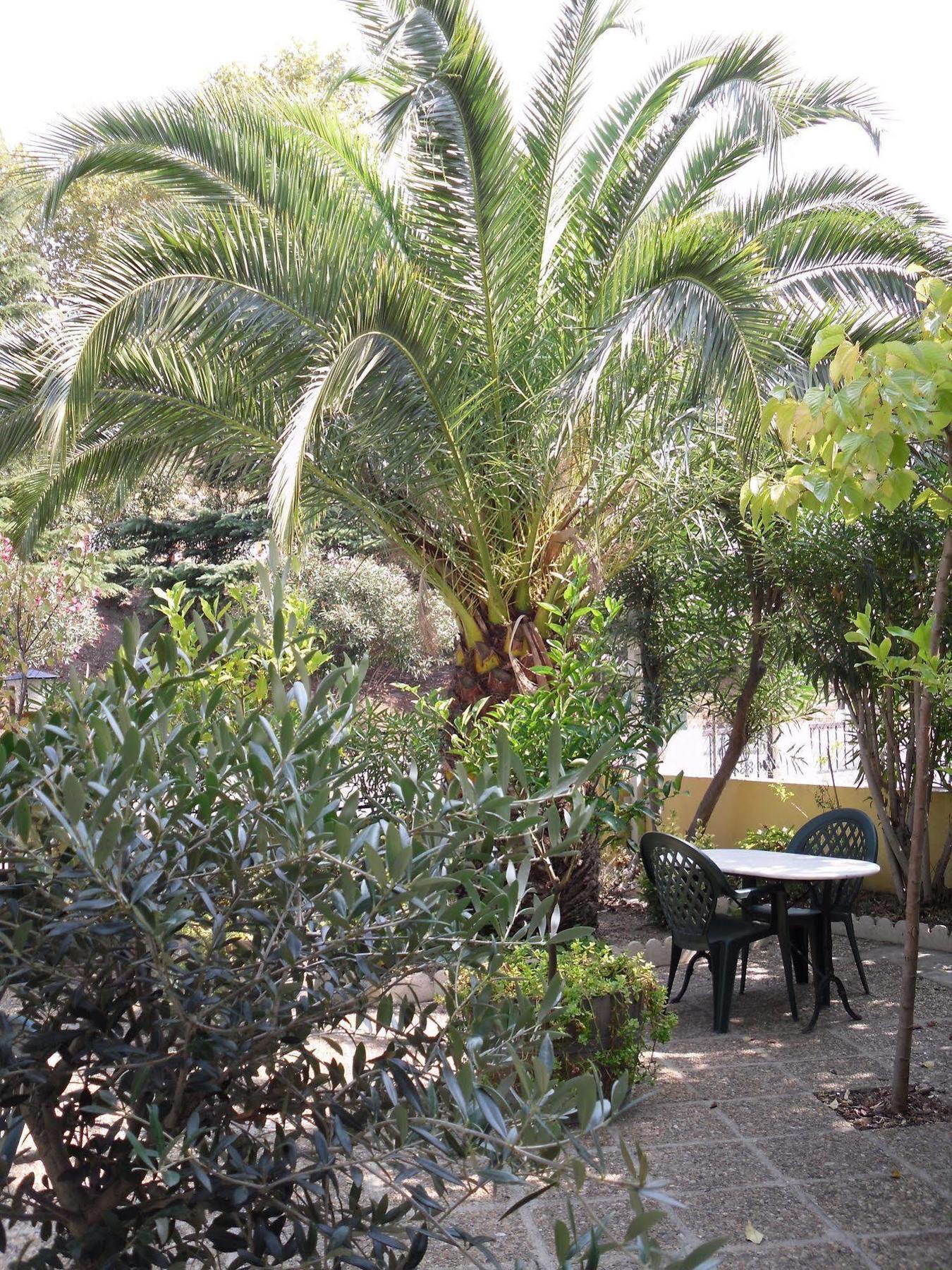 Hotel Le Nid Argelès-sur-Mer Eksteriør bilde